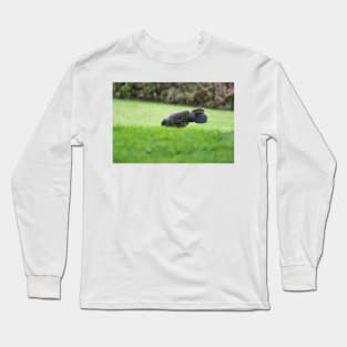 Ring-necked pheasant Long Sleeve T-Shirt